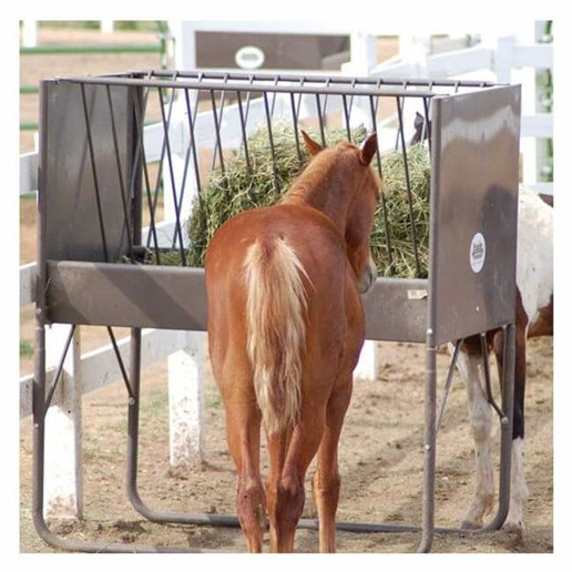 V-Rack Horse Feeder