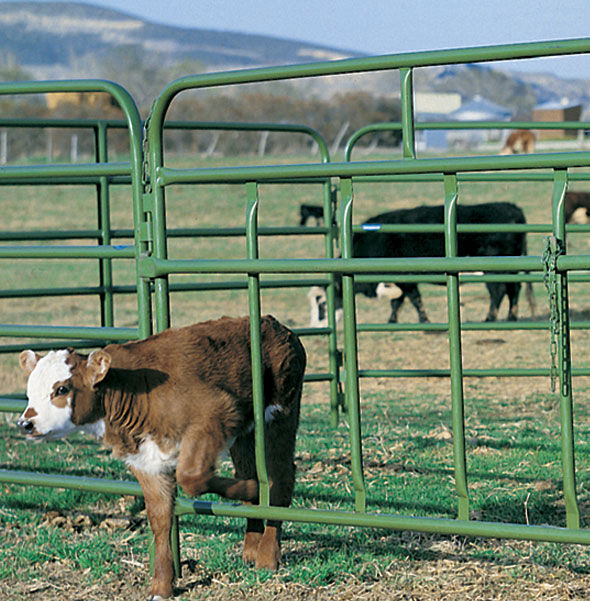 12-foot Calf Pass Panel