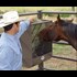 Powder River Manger Horse Feeder - Brown