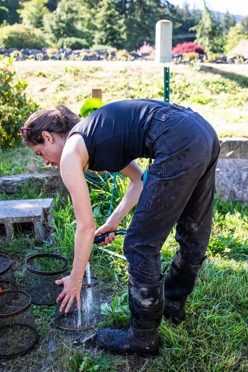 Dovetail Workwear Women's Provisions Ultralight Ripstop Cargo Pant in Black