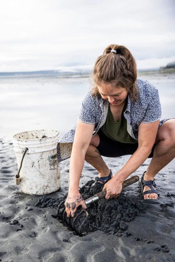 Dovetail Workwear Women's Carver Work Shirt