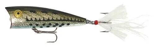Rebel Ol' Bass Teeny Pop-R Fishing Lure