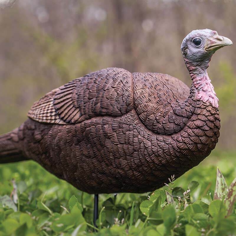 Primos Lil Gobbstopper Hen Turkey Decoy