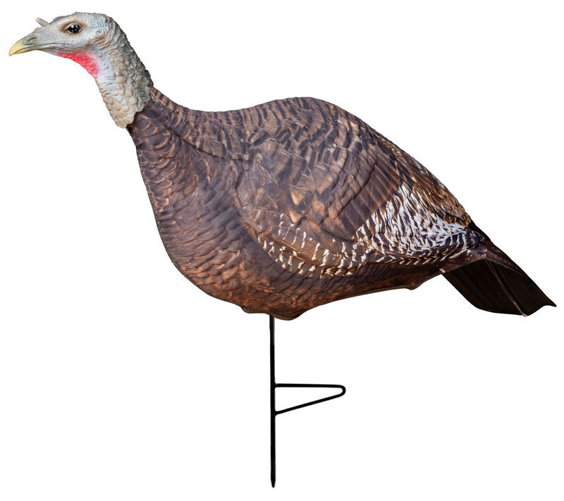Photoform Hen Turkey Decoy
