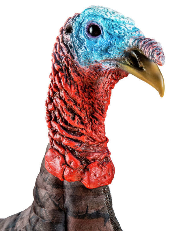 Photoform Jake Turkey Decoy