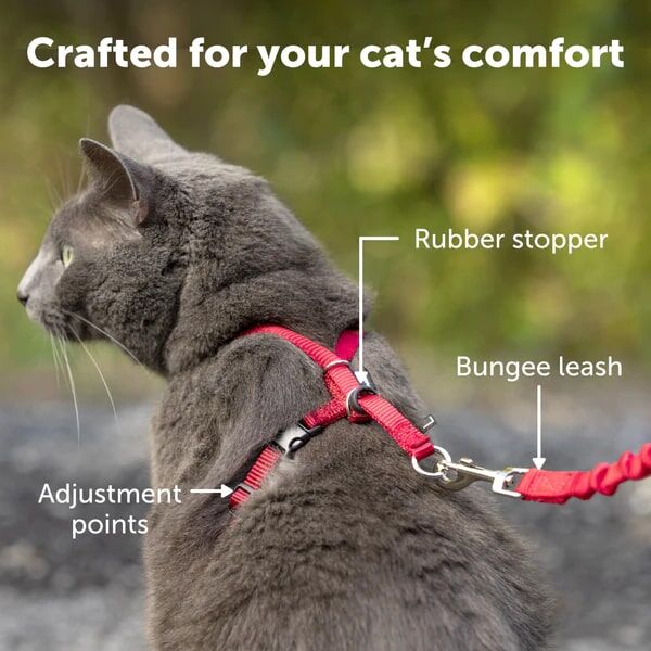 PetSafe Come With Me Kitty Cat Harness & Bungee Leash