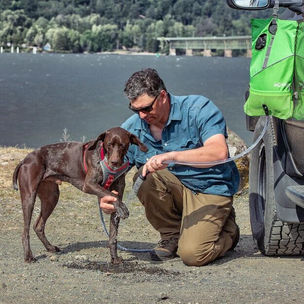 Kurgo Green Go Shower