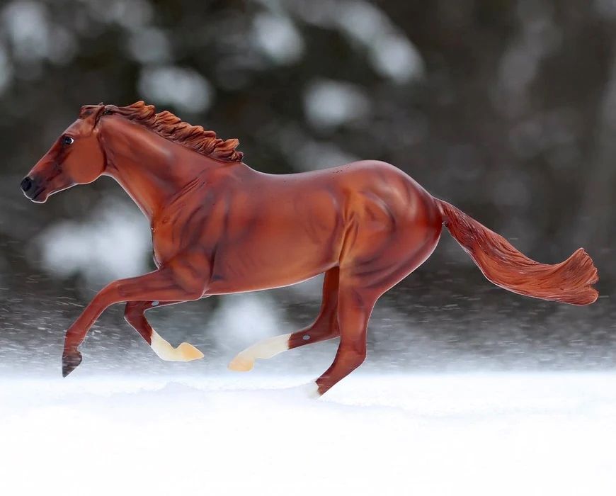 Secretariat 1973 Triple Crown Champion Horse