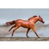 Breyer Justify Stablemates - Collectible Horse (9302)