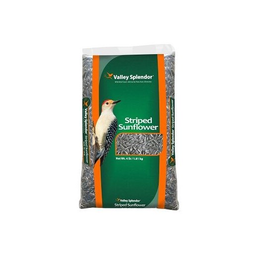 Striped Sunflower Seeds 4-lb Bag Wild Bird Food