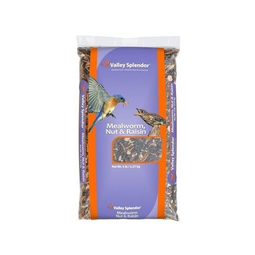 Mealworm Nut and Raisin Blend 5-lb Bag Wild Bird Food