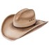 Resistol Aldean Amarillo Sky Cowboy Hat in Brown