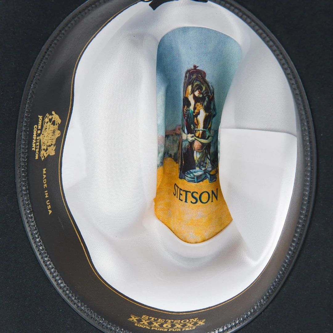 Stetson Men's Skyline 6X Cowboy Hat