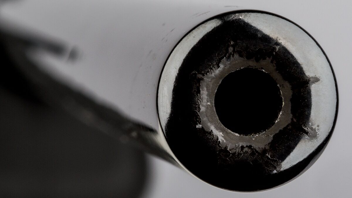 Savage Arms A17 .17 HMR 22" Semi-Auto Rifle, 10-Rd