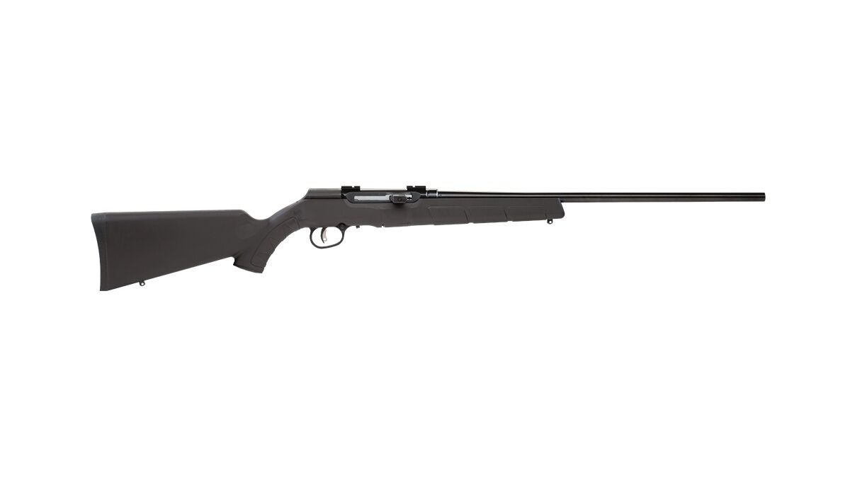 Savage Arms A17 .17 HMR 22" Semi-Auto Rifle, 10-Rd