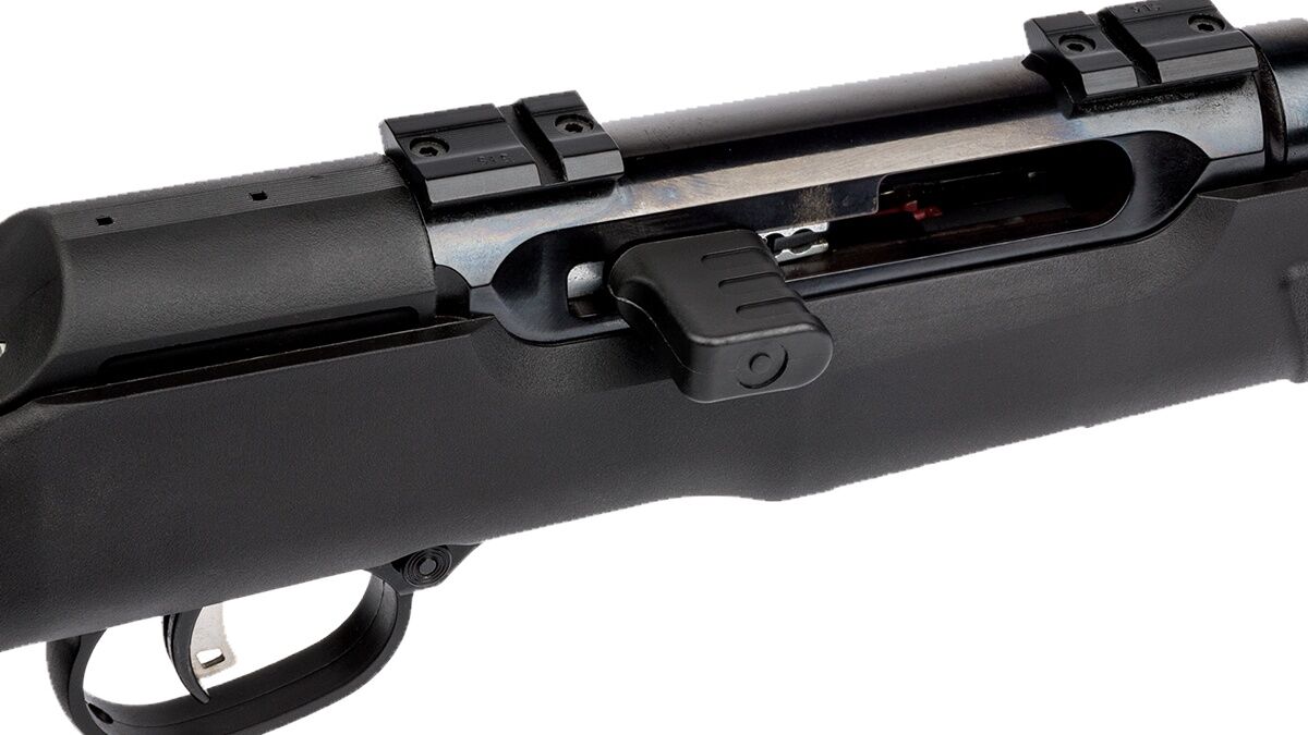 Savage Arms A17 .17 HMR 22" Semi-Auto Rifle, 10-Rd