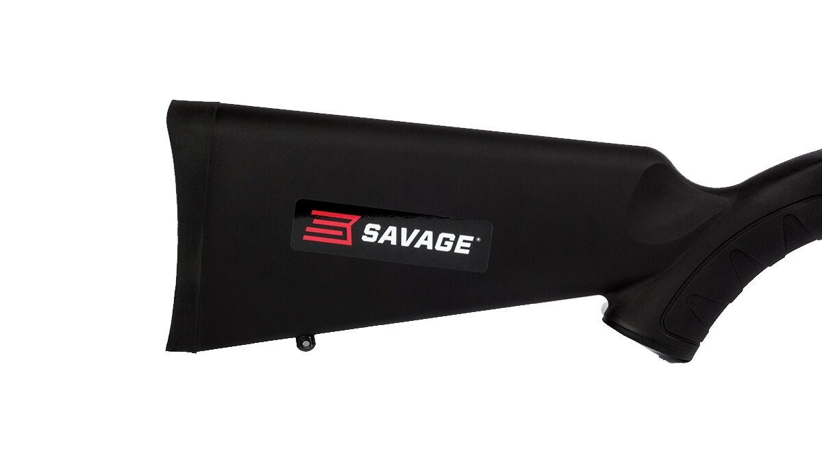 Savage Arms A17 .17 HMR 22" Semi-Auto Rifle, 10-Rd