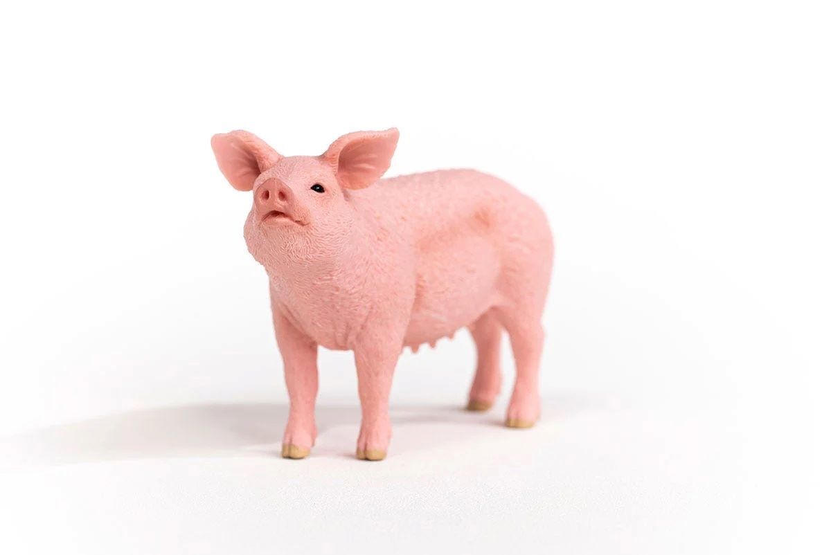Schleich Pig Toy