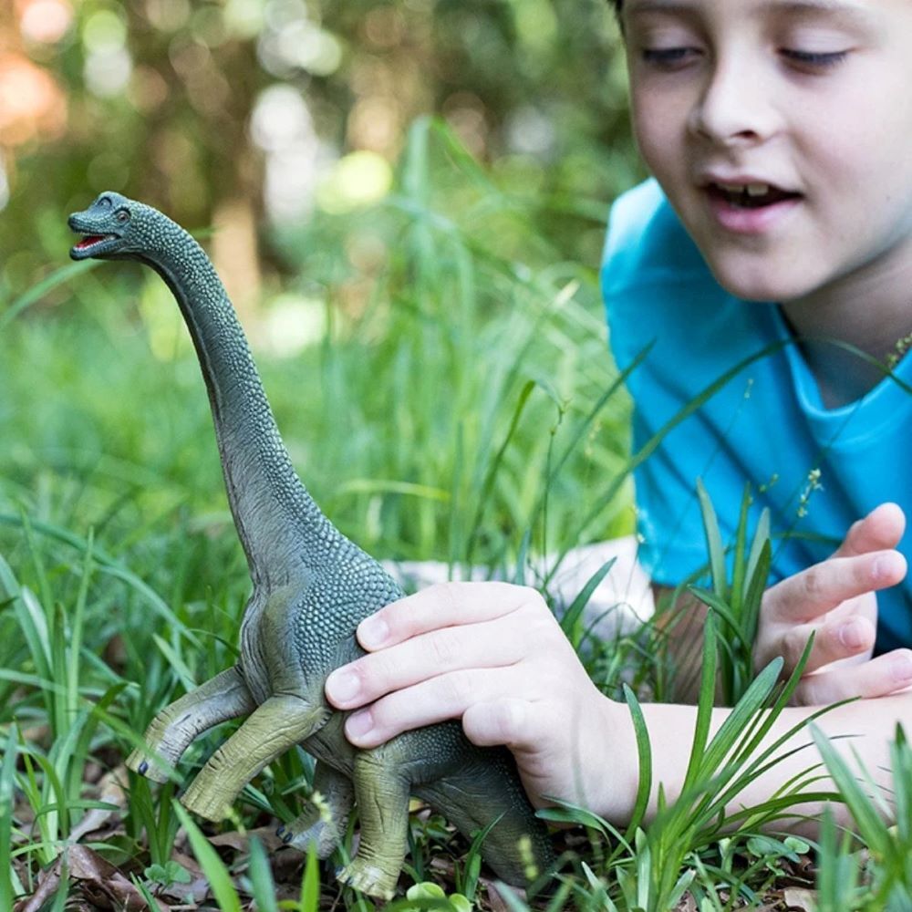 Schleich Brachiosaurus Toy