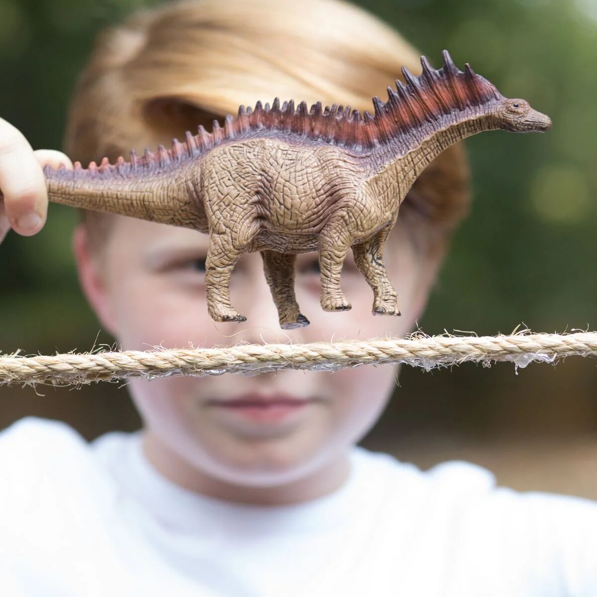 Schleich Amargasaurus Toy