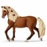 Schleich Horse Club 2-Piece Playset Paso Fino Stallion Horse Show