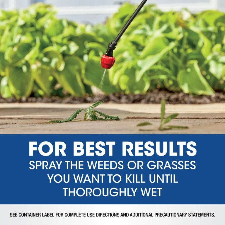 Roundup Weed & Grass Killer Concentrate, 0.5-Gal