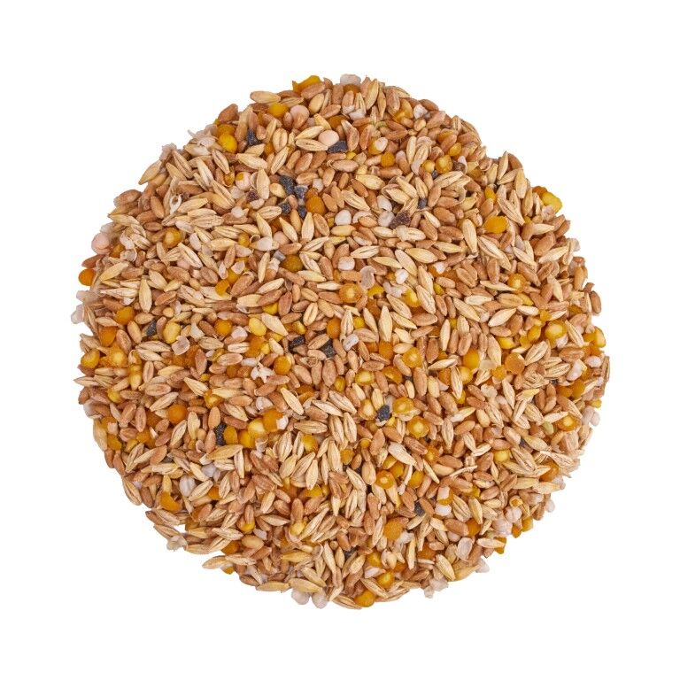 Scratch & Peck Feeds Organic Layer Mash 16%, 10-Lb