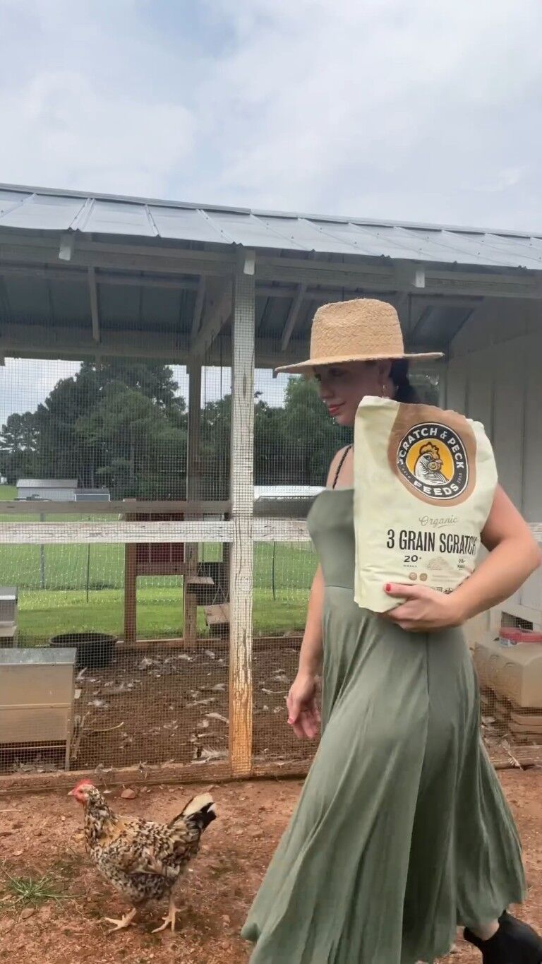 Scratch & Peck Feeds Organic 3-Grain Scratch, 40-Lb