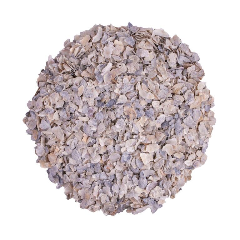 Scratch & Peck Feeds Oyster Shell, 4-Lb