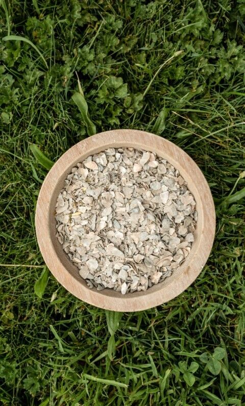 Scratch & Peck Feeds Oyster Shell, 4-Lb