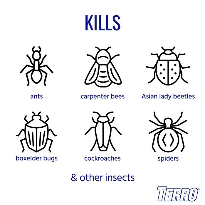 TERRO Outdoor Ant Killer Spray, 19-Oz