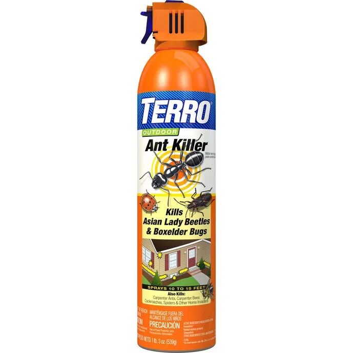 TERRO Outdoor Ant Killer Spray, 19-Oz