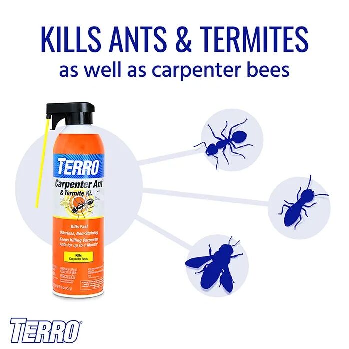 TERRO Carpenter Ant & Termite Killer Aerosol, 16-Oz