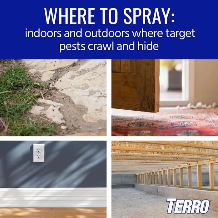 TERRO Spider Killer Aerosol Spray, 16-Oz