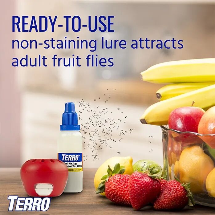 TERRO Fruit Fly Trap, 2-Pk