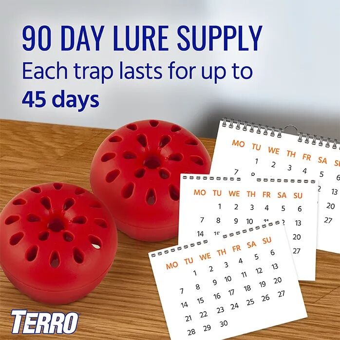 TERRO Fruit Fly Trap, 2-Pk