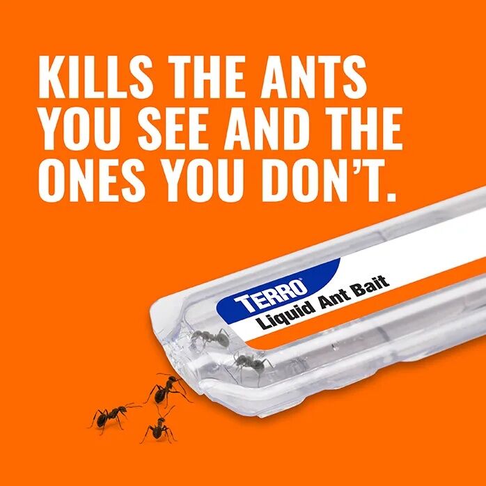 TERRO Liquid Ant Baits, 6-Pk