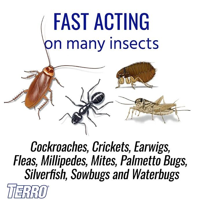TERRO Ant Killer Plus, 3-Lb