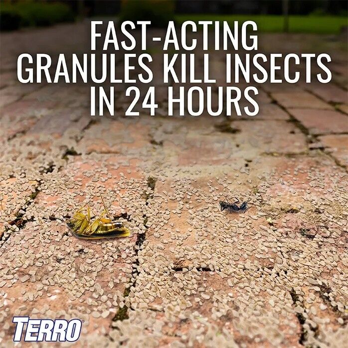 TERRO Ant Killer Plus, 3-Lb