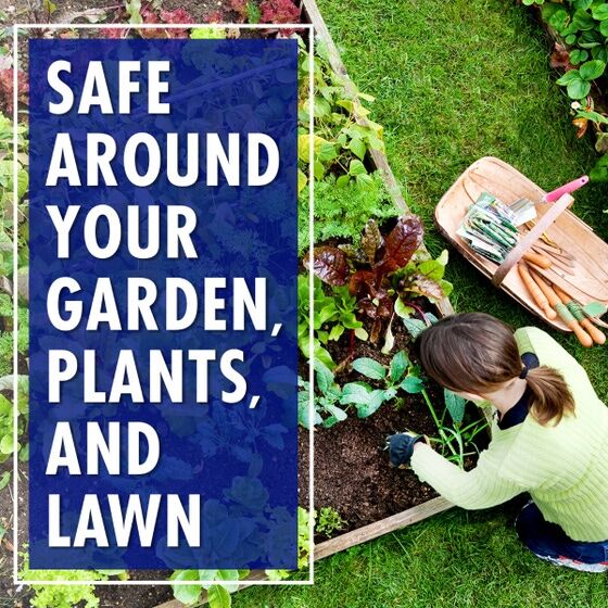 30 Seconds Spray & Walk Away Outdoor Cleaner Concentrate, 1-Gal