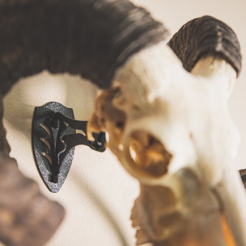 Skull Hooker Black Little Hooker Small/Medium Game Mount