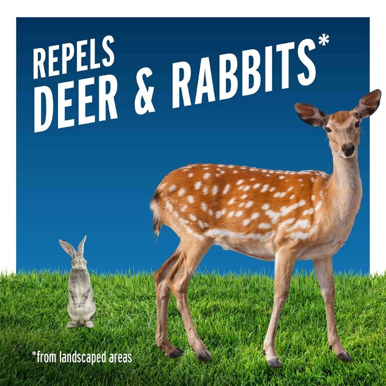 Liquid Fence Deer & Rabbit Repellent Ready-To-Use, 32-Oz