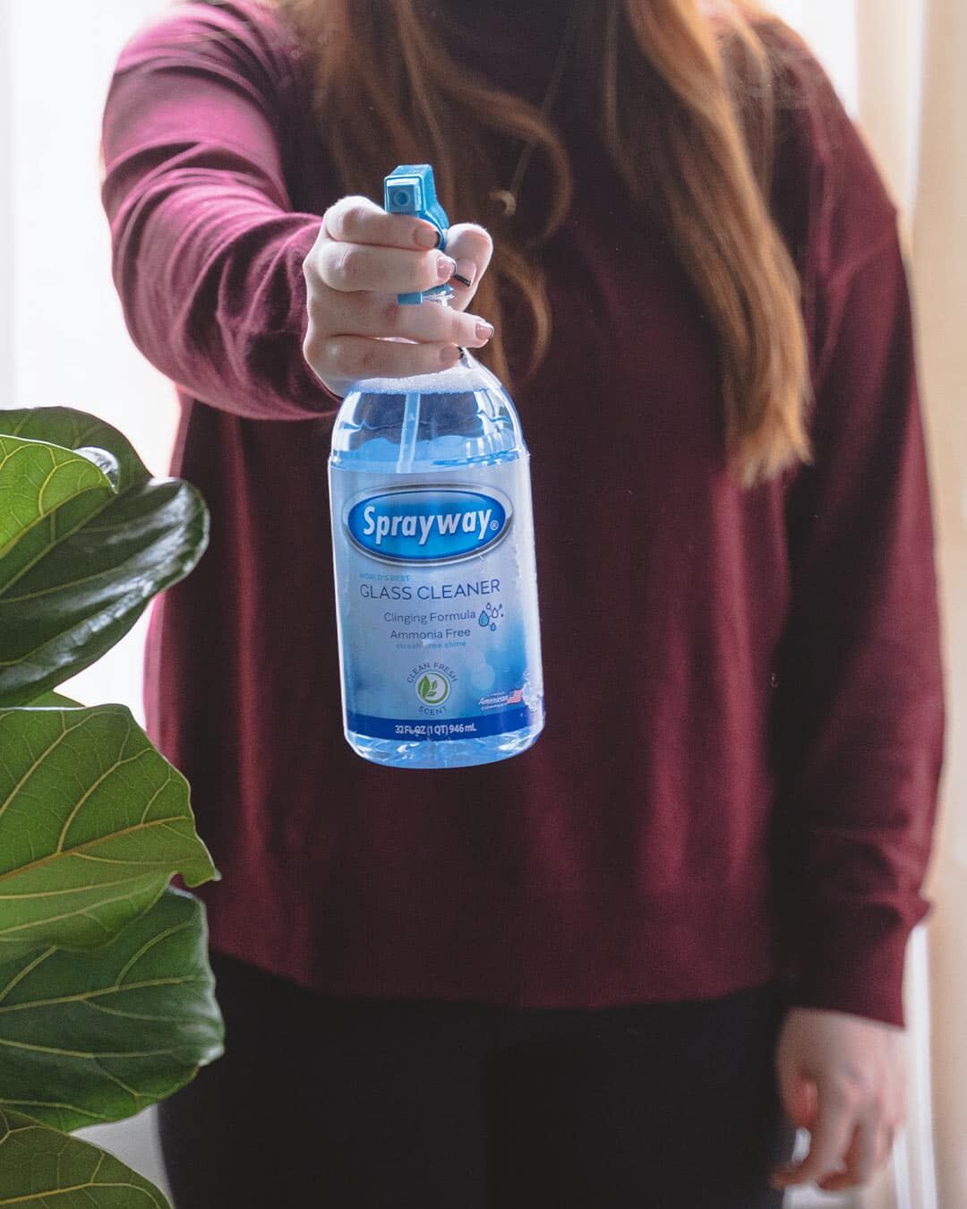 Sprayway Glass Cleaner Clinging Spray, 32-Oz