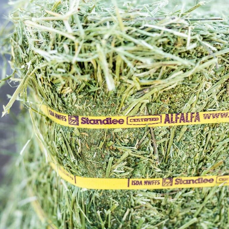Standlee Premium Western Forage Certified Alfalfa Grab & Go Compressed Hay Bale, 50-Lb