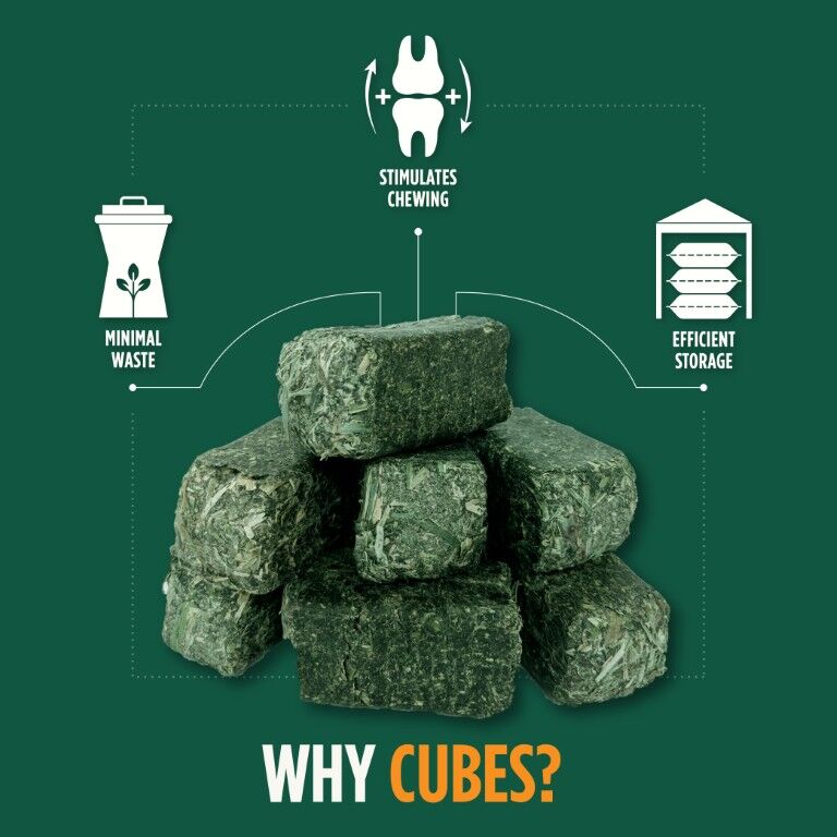 Standlee Premium Western Forage Certified Alfalfa Hay Cubes, 40-Lb