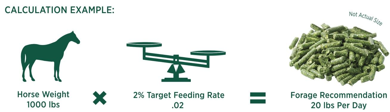 Standlee Premium Western Forage Certified Timothy Grass Hay Pellets, 40-Lb