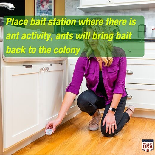 RESCUE! Ant Baits, 4-Pk