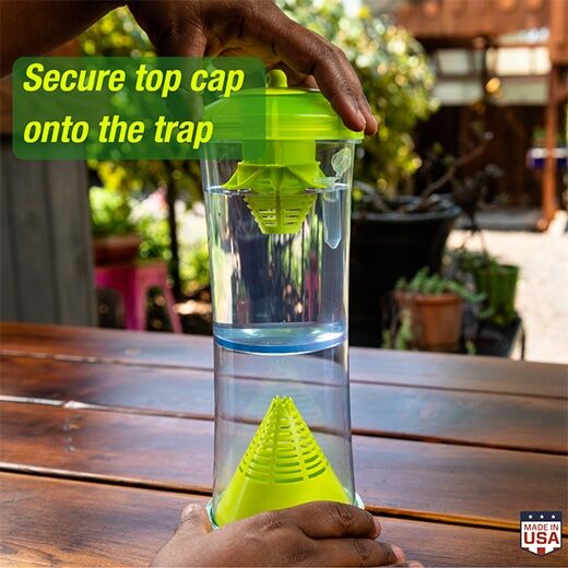 RESCUE! W-H-Y Trap for Wasps, Hornets & Yellowjackets