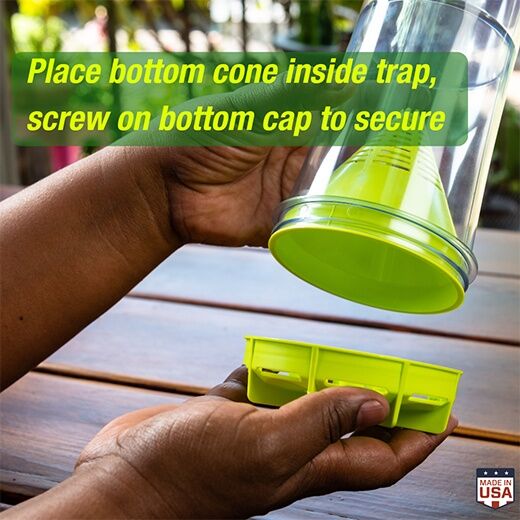 RESCUE! W-H-Y Trap for Wasps, Hornets & Yellowjackets