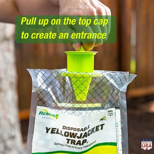 RESCUE! Disposable Yellowjacket Trap